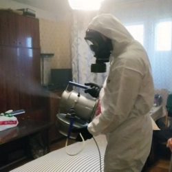 Дезинфекция от клопов в Дорохово