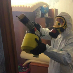 Уничтожение клопов в квартире. Дорохово